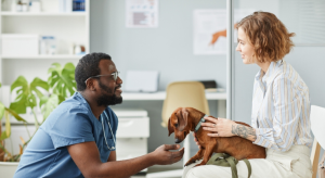 Ways to Take the Stress Out of Your Pet's Next Veterinary Visit